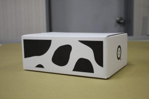 ÆýÀ½ÉÊÍ¢Á÷ÍÑ¥À¥ó¥Ü¡¼¥ë¥±¡¼¥¹