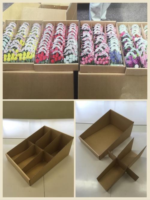 ����ê�˼��ޤ륵�������ʥܡ������������󽺴�