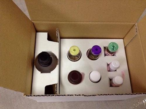 �����ΰۤʤ�ʪƱ�Ρ��ľ��ץ졼�ȡ��������ˤδ˾��߷׭�