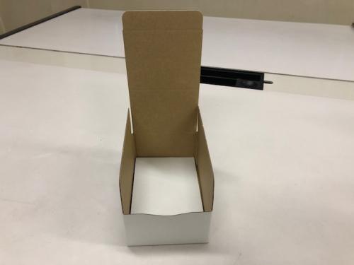 ºÊñ¤ÈÄÄÎó¤Î·óÍÑ£