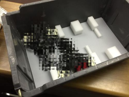 ´Ë¾×ºà¢¨Ãʥܡ¼¥ë°Ê³°¤Î»öÎã£