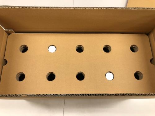 ����ʪ�����ʡˤδ˾׭�