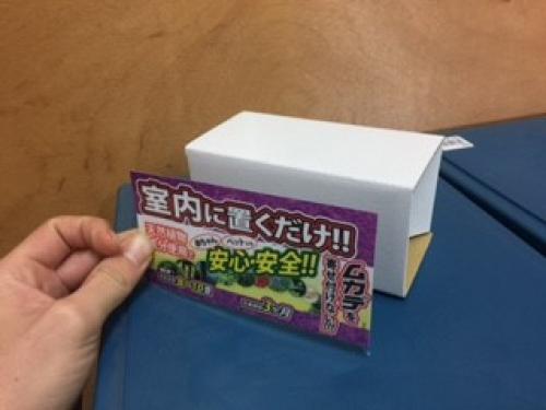 ����ê�ǤδʰףУϣЭ�